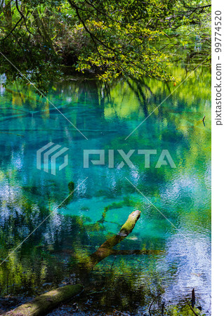 Yamagata Yusa's early summer Mysterious Pond Maruike of fresh greenery Yamagata Yusa's early summer Mysterious Pond Maruike of fresh greenery 99774520