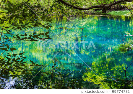 山形遊佐的初夏 新綠的神秘池塘丸池 99774781