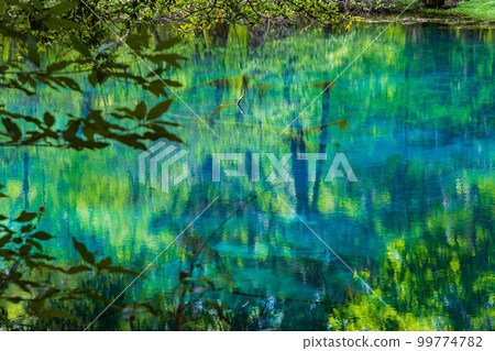 山形遊佐的初夏 新綠的神秘池塘丸池 99774782