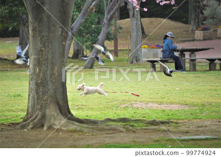 Wonderful run leading the lead Wonderful run leading the lead 99774924