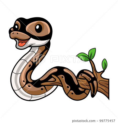 Cute ball python snake cartoon on tree branch 99775457
