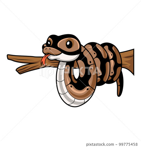 Cute ball python snake cartoon on tree branch 99775458