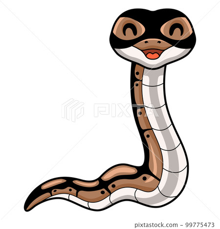 Cute ball python snake cartoon Cute ball python snake cartoon 99775473