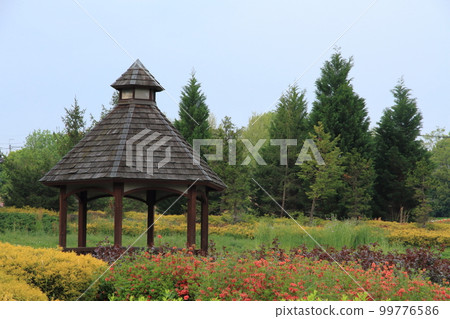 在自然公園中發現的涼亭 99776586