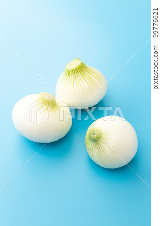 New onion light blue background New onion light blue background 99776621