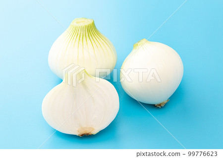 New onion light blue background New onion light blue background 99776623