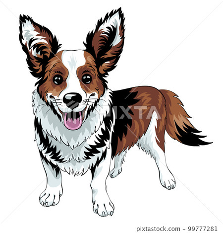 vector sketch dog Cardigan Welsh corgi 99777281