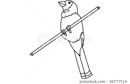 Creatures of the world natural heritage island blue jay line drawing only 99777514