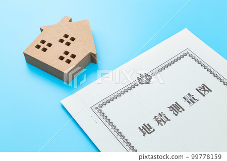 Plot Survey Map 99778159