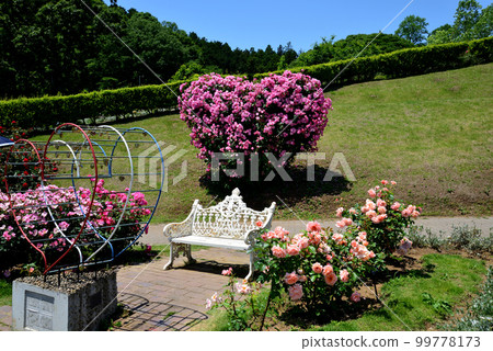 I went to Ibaraki Flower Park #32 I went to Ibaraki Flower Park #32 99778173
