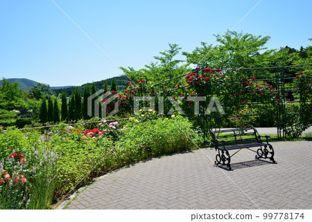我去了茨城花卉公園#33 我去了茨城花卉公園#33 99778174