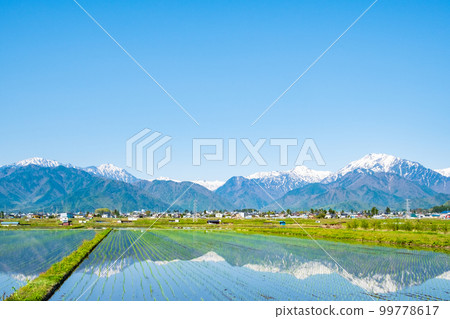 從大町市看到殘雪的北阿爾卑斯山（5月） 99778617