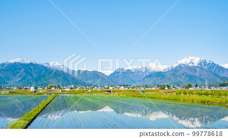 從大町市看到殘雪的北阿爾卑斯山（5月） 99778618