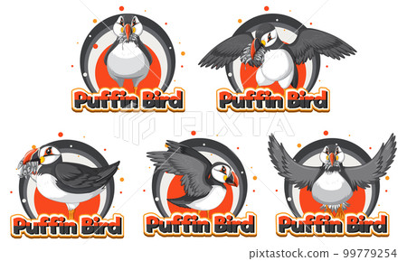 Puffin birds in cartoon style 99779254