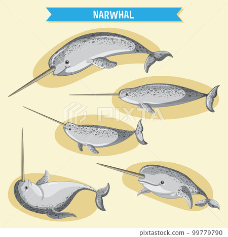 Narwhale cartoon character in different poses 99779790