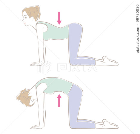 cat pose, cat and cow 99780056