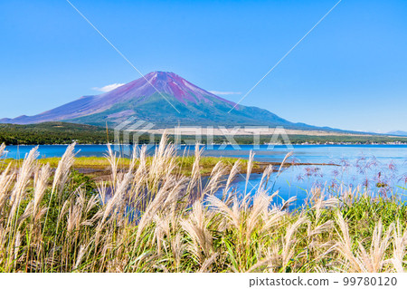 Mt.Fuji in early autumn ~Lake Yamanaka~ Mt.Fuji in early autumn ~Lake Yamanaka~ 99780120