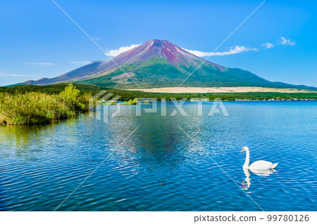 初秋的富士山~山中湖~ 初秋的富士山~山中湖~ 99780126