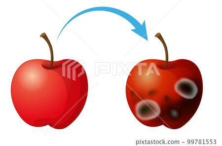 Inedible decomposed apple with mould 99781553