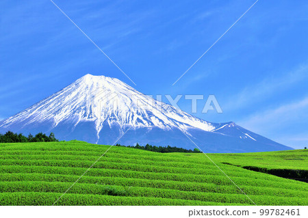 Mt. Fuji in blue sky Tea garden in fresh green Mt. Fuji in blue sky Tea garden in fresh green 99782461