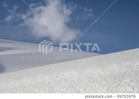 鳥取沙丘的雪景 鳥取沙丘的雪景 99783076