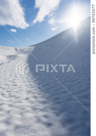 鳥取沙丘的雪景 鳥取沙丘的雪景 99783077