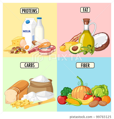 Food nutrition groups set 99783125