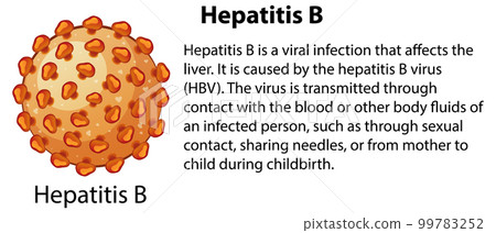 Hepatitis B with explanation 99783252
