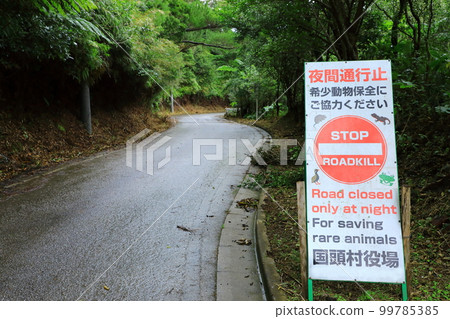 Daikoku Rindo Yanbaru Forest 99785385