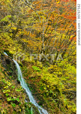 A small waterfall and autumn leaves that fall into the Kawamata River flowing at the foot of Mt. Yatsugatake 99787382
