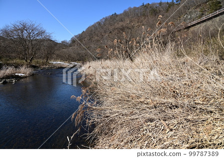 Scenery near the Tatsusobe River Bridge 99787389