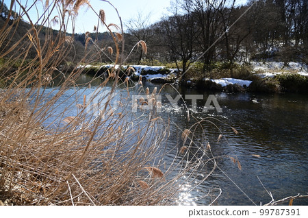 Scenery near the Tatsusobe River Bridge 99787391