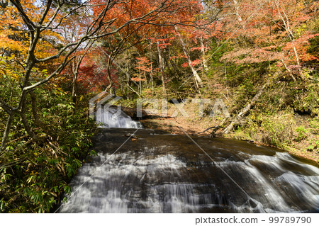 Eniwa Valley in autumn (Rarumanai Falls) 99789790