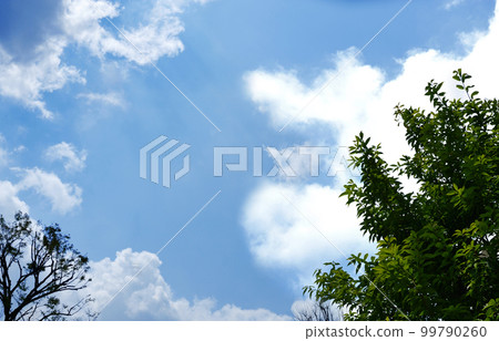 藍天和雲彩 藍天和雲彩 99790260