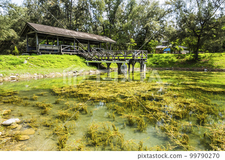 Beautiful view of Pipa Lake at Taitung Forest Park in Taiwan. The scenic Pipa Lake is a habitat of aquatic animals and plants. 99790270