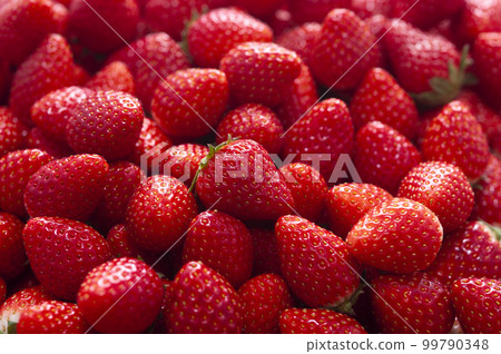 Strawberry group image 99790348