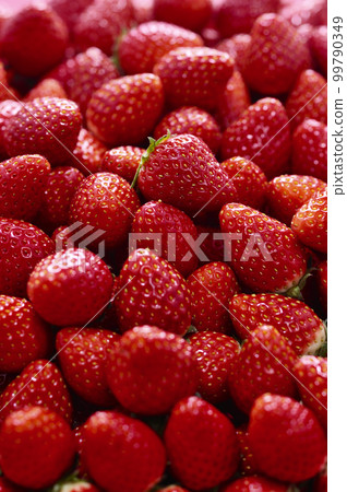 Strawberry group image 99790349