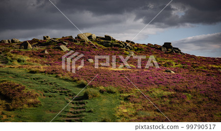 Higger Tor at Peak District National Park Higger Tor at Peak District National Park 99790517