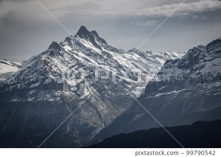 Wonderful panoramic view over the Swiss Alps 99790542