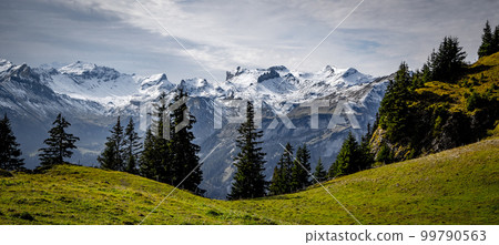 Wonderful panoramic view over the Swiss Alps - view from Schynige Platte Mountain 99790563
