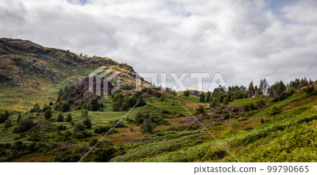 Amazing landscape and nature of Lake District National Park Amazing landscape and nature of Lake District National Park 99790665