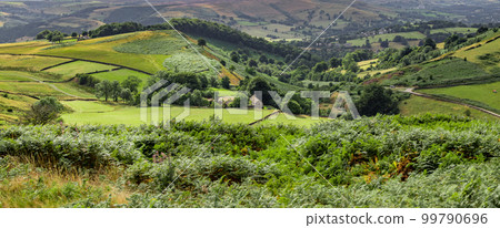 Amazing landscape and nature of Peak district National Park Amazing landscape and nature of Peak district National Park 99790696
