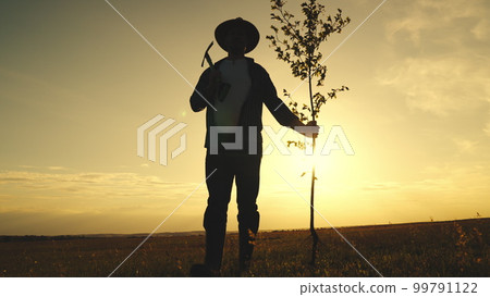 silhouette male farmer holding wood shovel hands. Agriculture. farming concept. man walks across field with tree sapling his hands. plant trees ground. fresh tree seedling farm. bury root tree ground 99791122