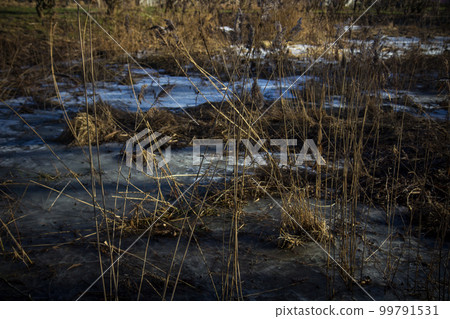 First sun rays. Frozen pond early morning First sun rays. Frozen pond early morning 99791531