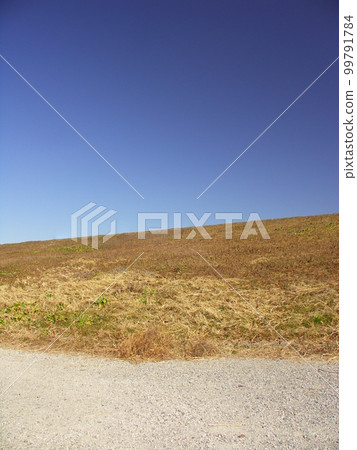 Edogawa river bank and riverbed gravel road landscape with weeded dead grass in early spring 99791784