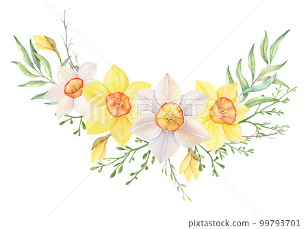 Watercolor wreath of yellow and white daffodils. Hand painted frame illustration with spring flowers isolated on white background 99793701