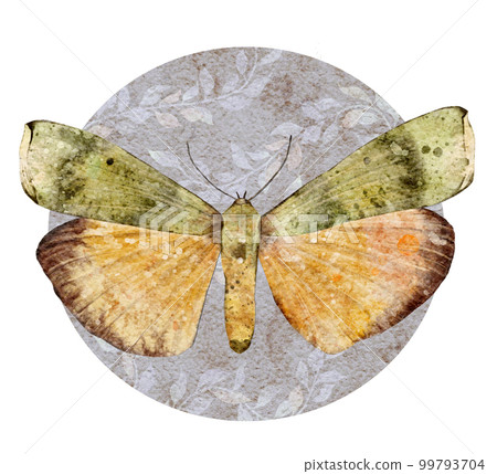 Watercolor green and yellow butterfly. Vintage Insect. Summer illustration isolated on white background. 99793704