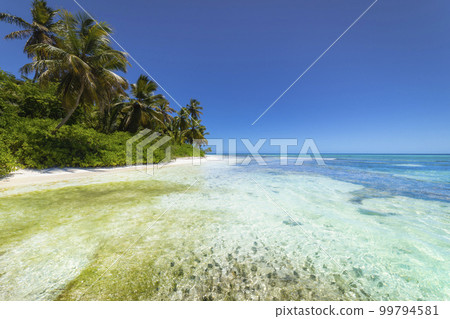 Tropical beach in caribbean sea, idyllic Saona island, Dominican Republic Tropical beach in caribbean sea, idyllic Saona island, Dominican Republic 99794581