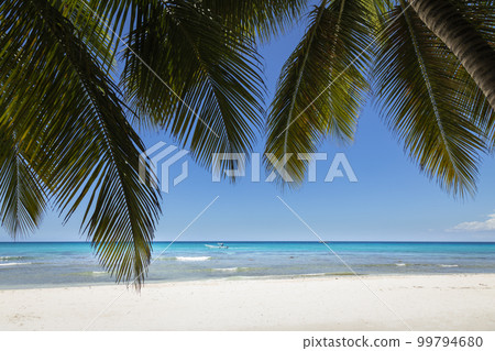 Tropical beach in caribbean sea, idyllic Saona island, Dominican Republic 99794680