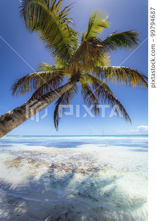 Boats and tropical beach in caribbean sea, Saona island, Dominican Republic Boats and tropical beach in caribbean sea, Saona island, Dominican Republic 99794687